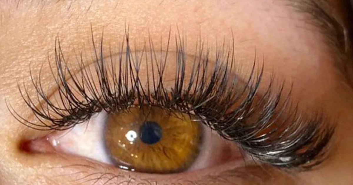 Maja Lashes Beauty Salon