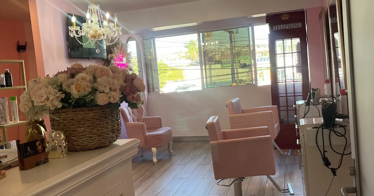 Ilse salon