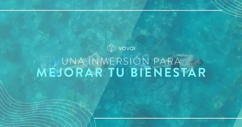 VAVAI Spa, negocios en Chihuahua, Chihuahua