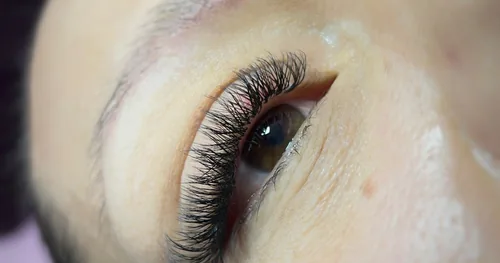 BEAUTY HOUSE STUDIO Y DISTRIBUIDORA, negocios en Delicias, Chihuahua