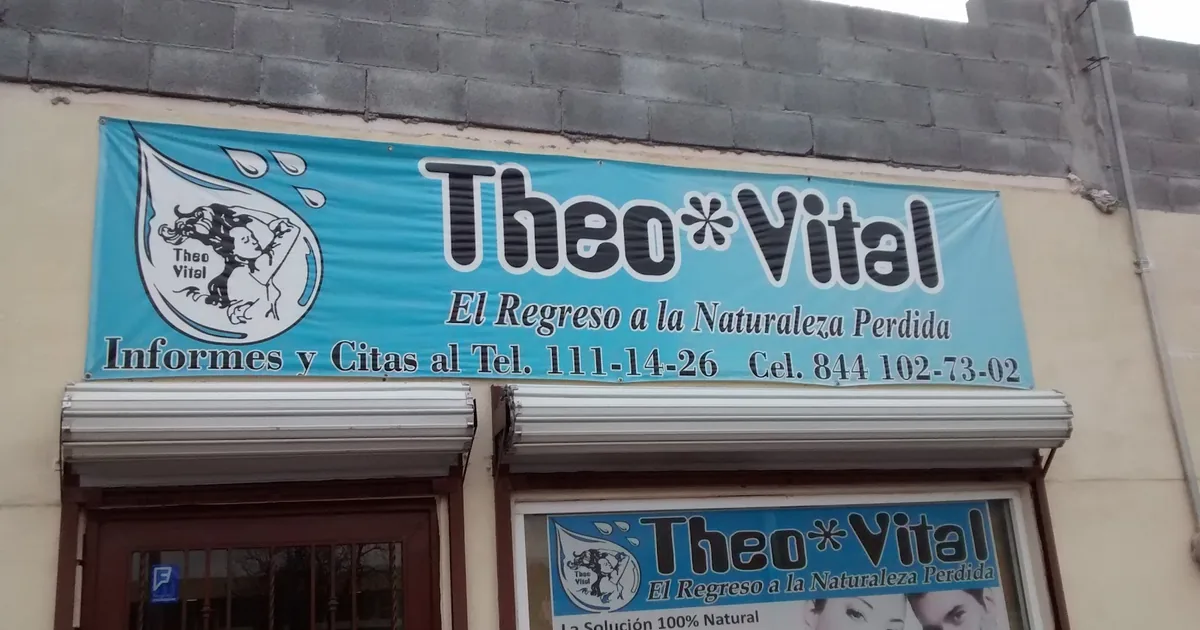 Espacio Vital by Gris. Theo Vital Saltillo Sur