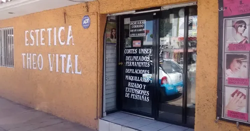 THEO-VITAL, negocios en Durango, Durango