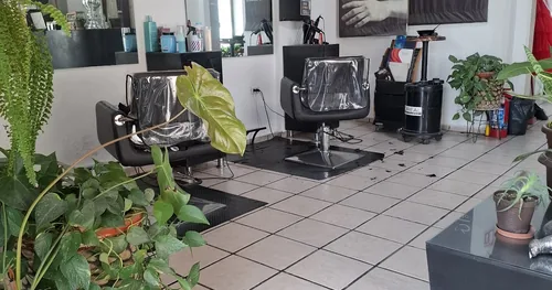 Estética Angel’s, negocios en Durango, Durango