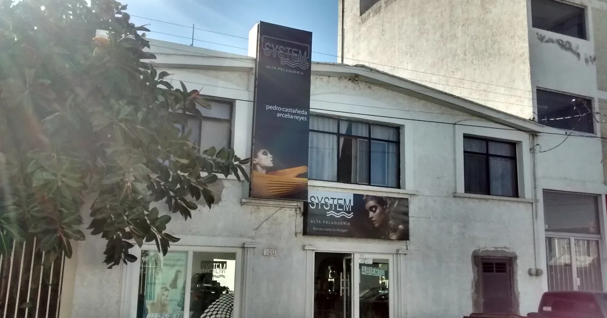 System Alta Peluquería