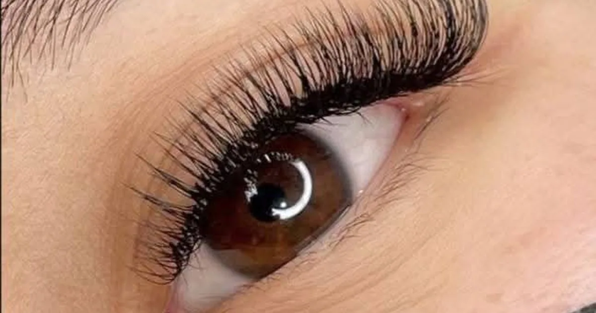 OshIan Lash Studio