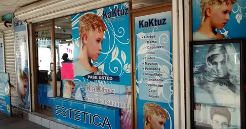 Kaktuz, negocios en Los Mochis, Sinaloa