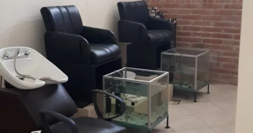 Beaute Estetique Laser y Micropigmentacion, negocios en Los Mochis, Sinaloa