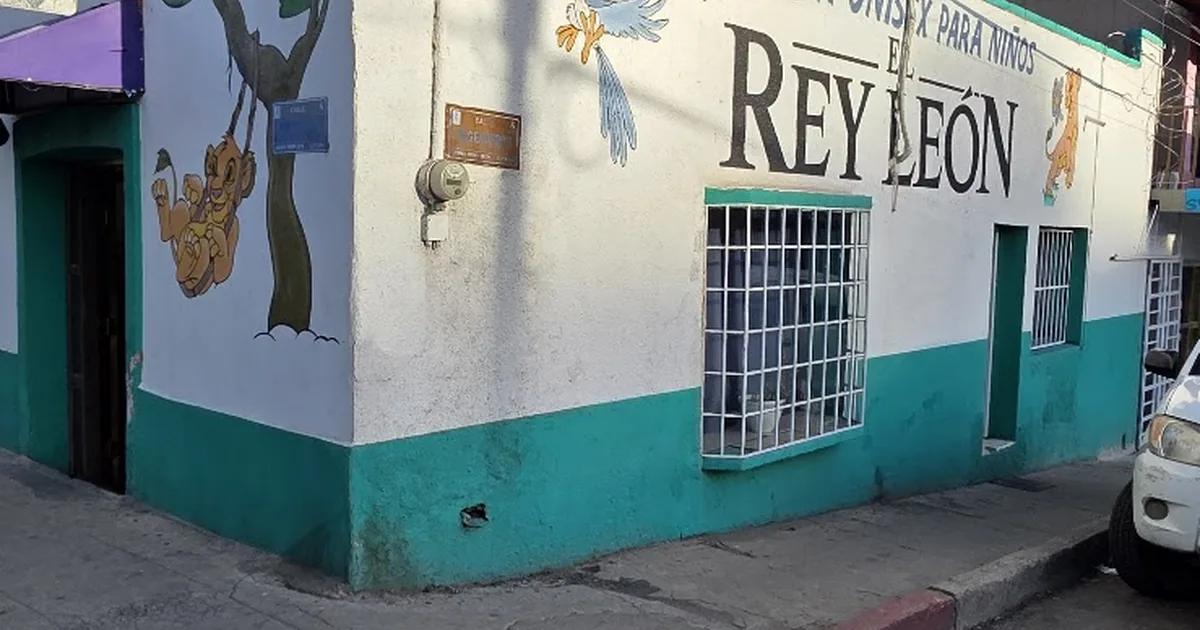 Estetica infantil el rey león