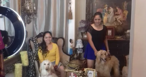 Estética Castimar, negocios en Reynosa, Tamaulipas