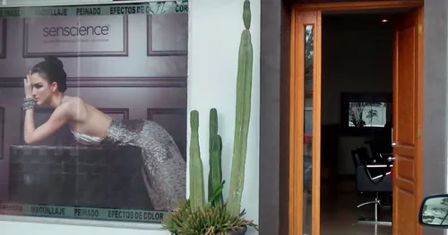 Studio Hollywood Salon, negocios en Aguascalientes, Aguascalientes