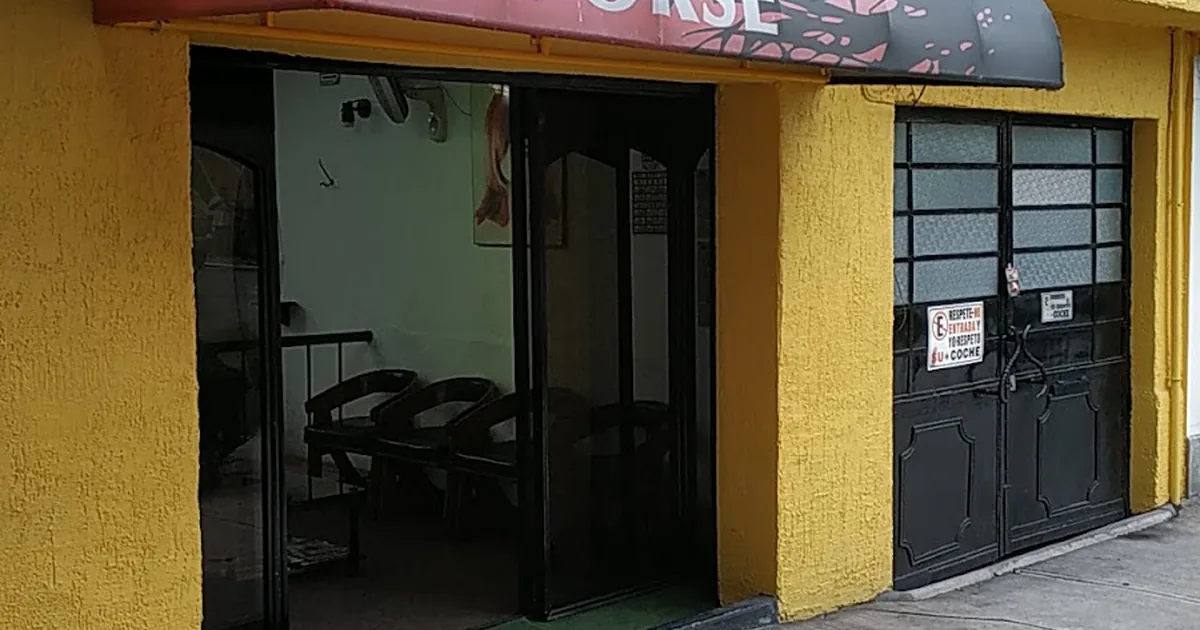 Proshe Mx