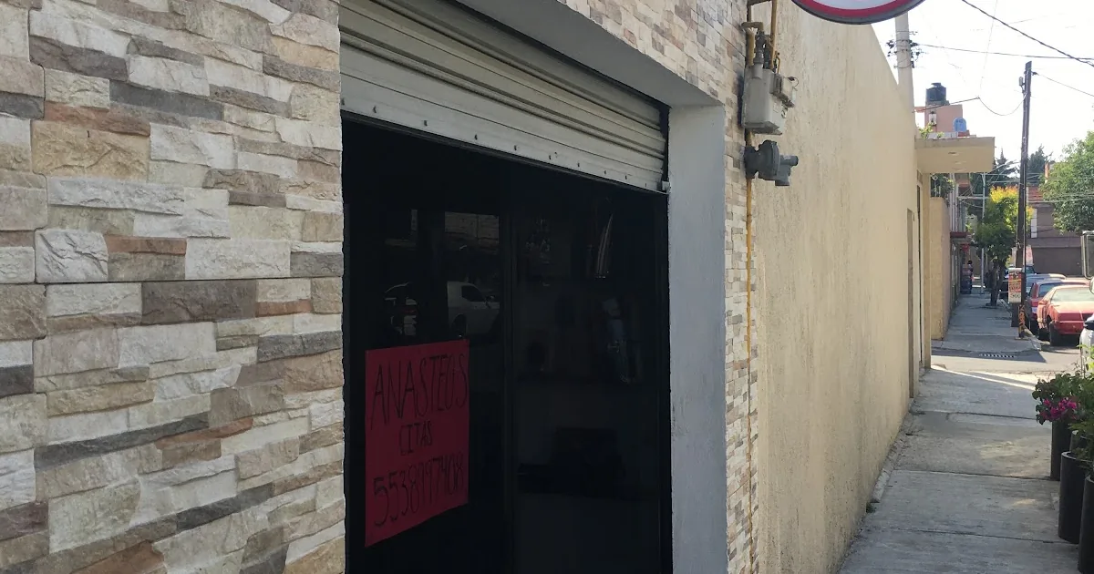 Estetica Anasteos