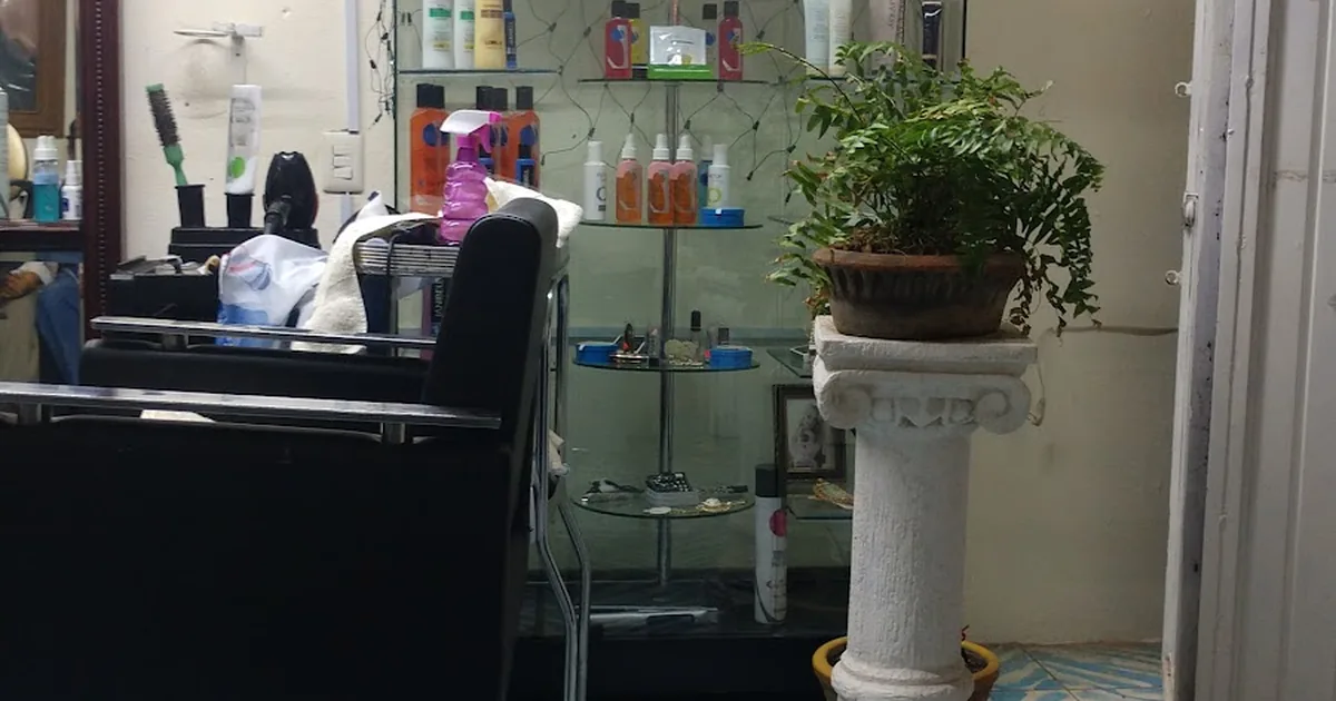 Estetica «Brandy»