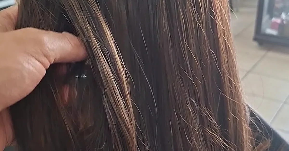 Estética peluquería Humberto Canchola Beto
