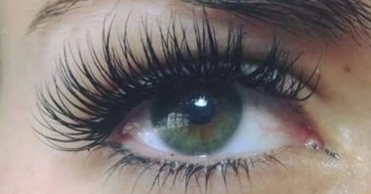Salon Lashes Monika
