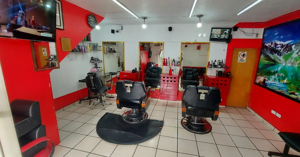 ESTÉTICA BARBER GINA