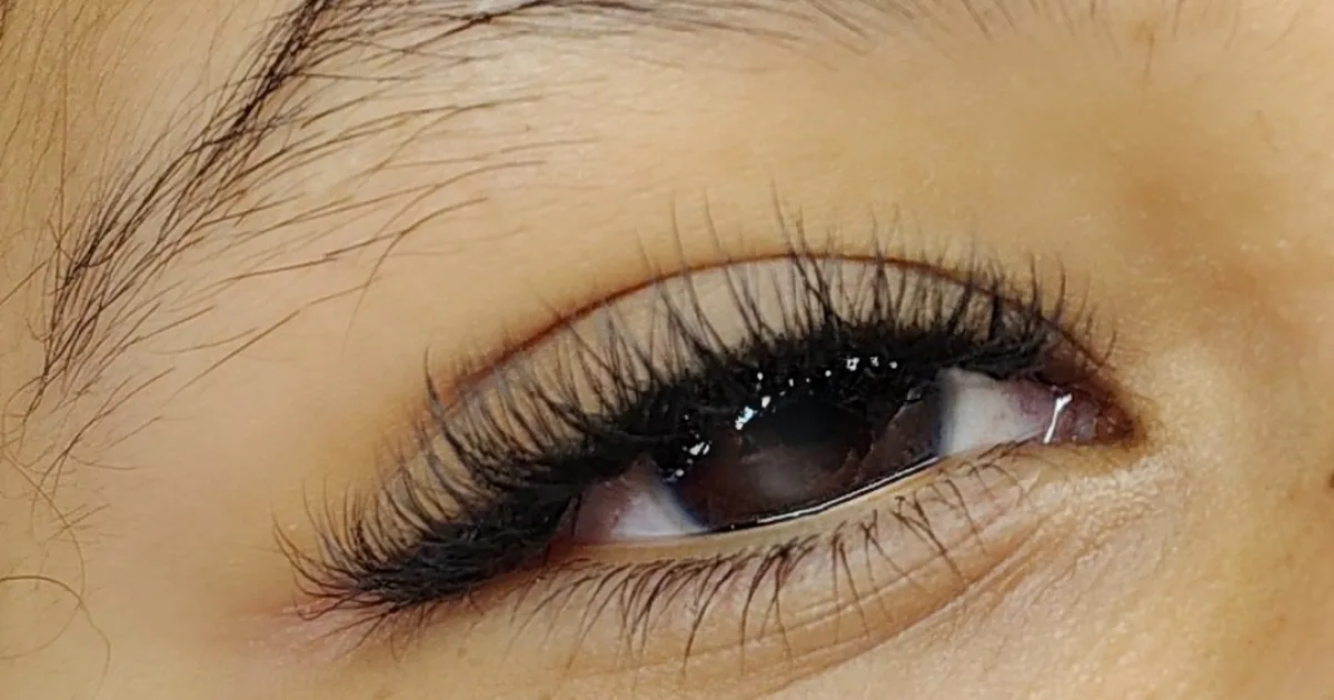Maison Lash Bren