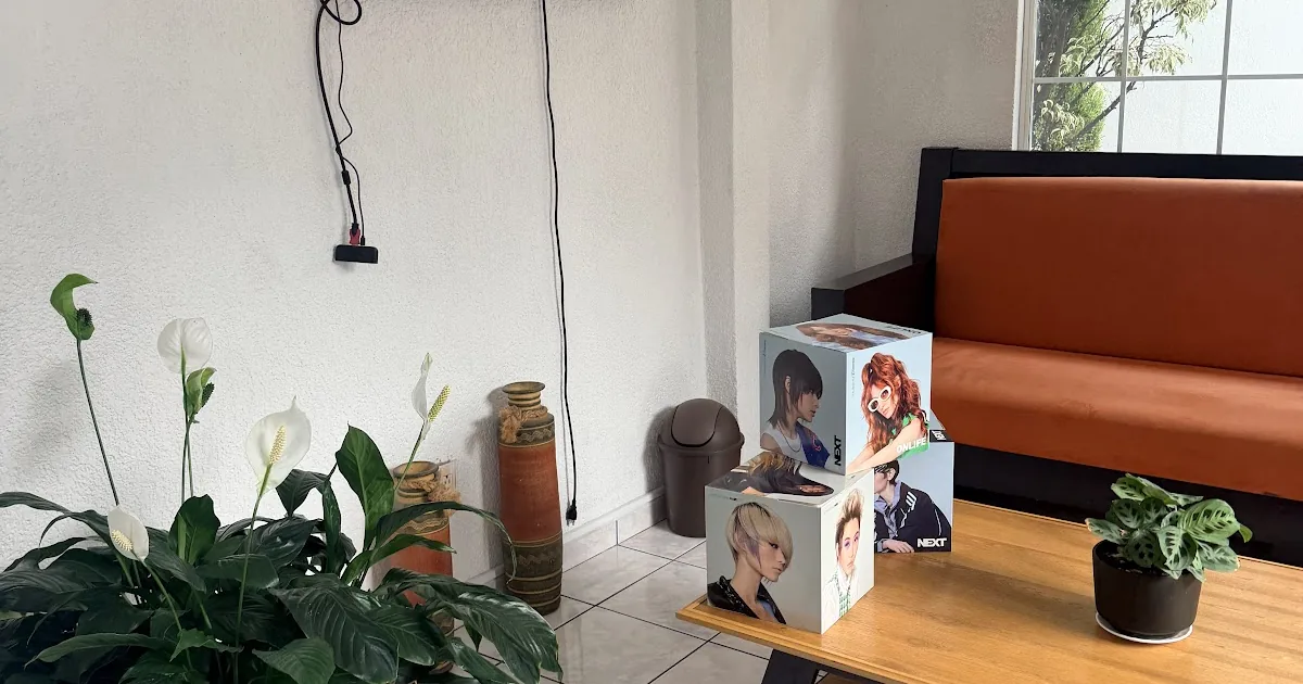 Beauty Color Salon