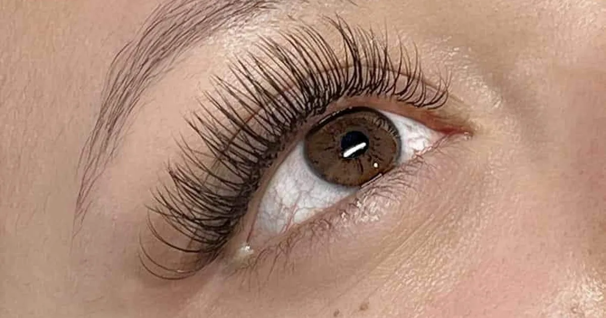 Silvia Zarco Beauty studio
