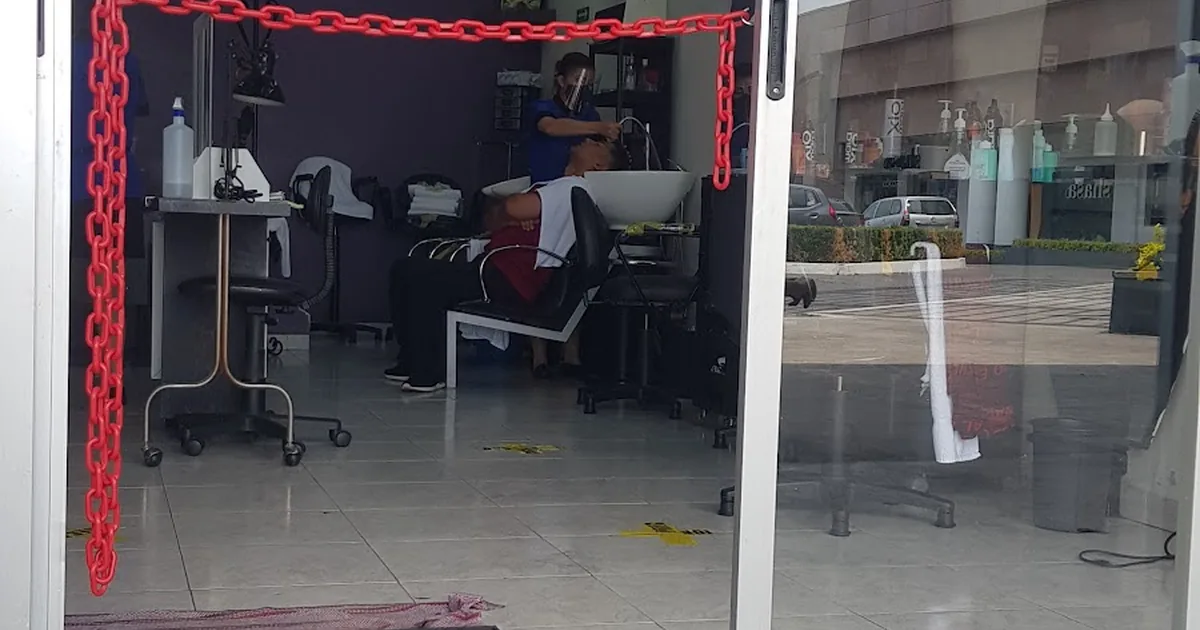 Estetica Bogus