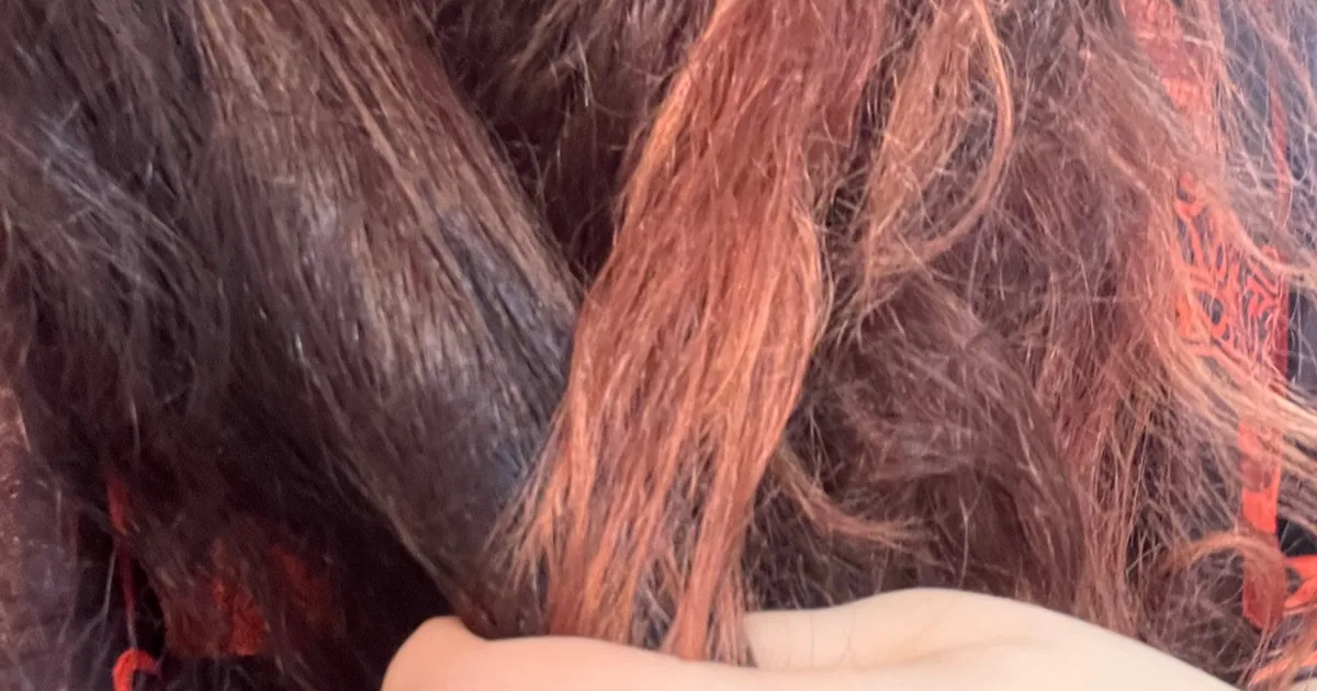 Estética Mozart