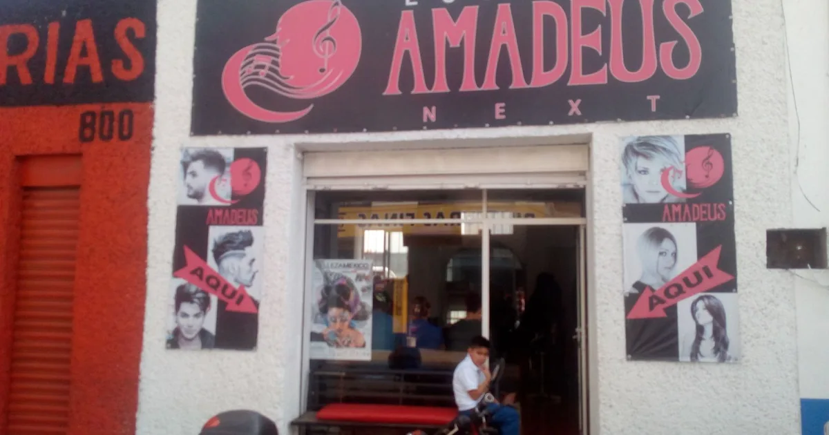 Estetica Salon Amadeus Next