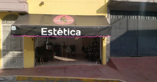Medicina Estetica La Piedad Michoacan, negocios en La Piedad, Michoacán