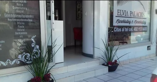 Elvia Palacios, negocios en Fresnillo, Zacatecas