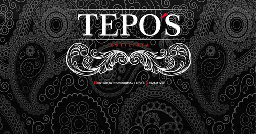 tepo´s estilista profesional, negocios en Guadalupe, Zacatecas