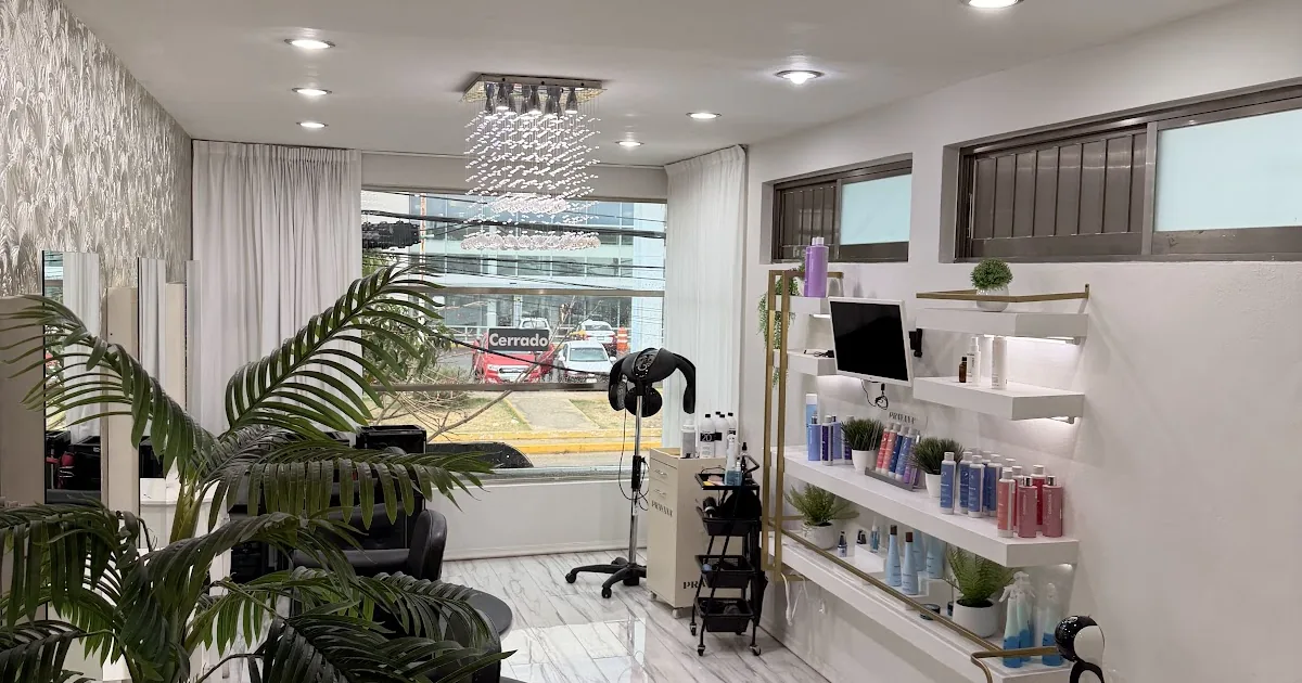 Manila Estilistas