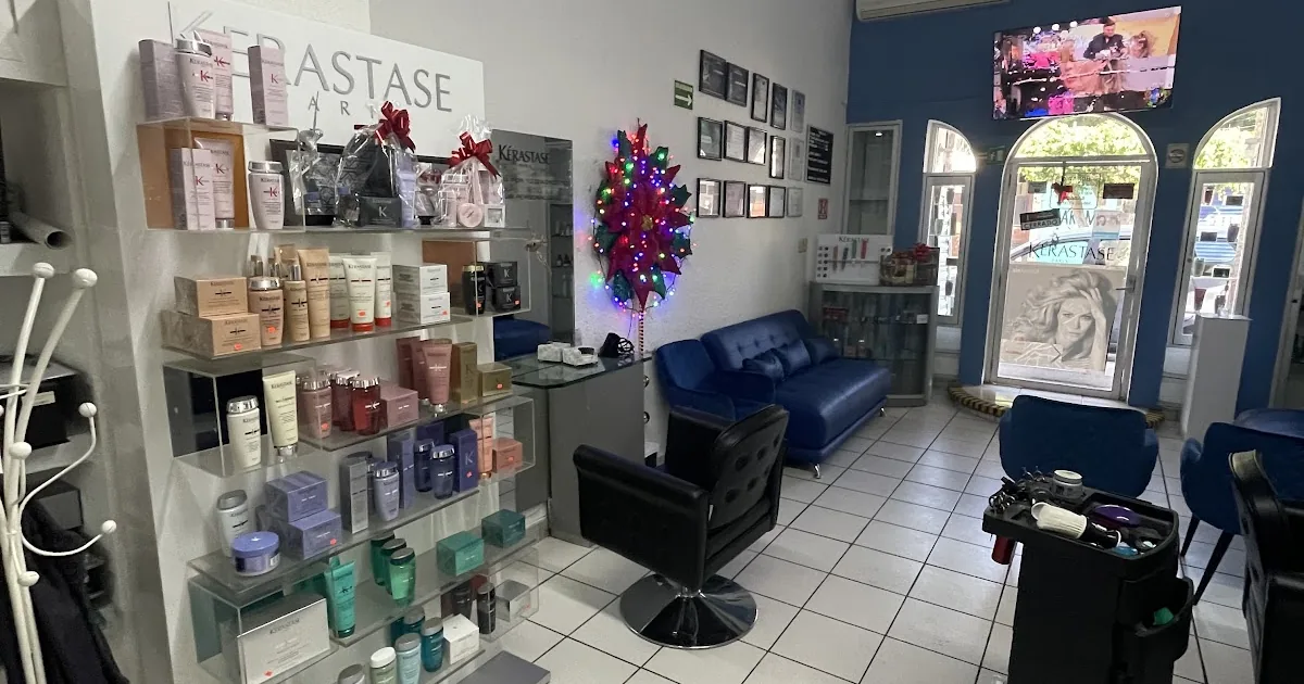 Estética Karmelita