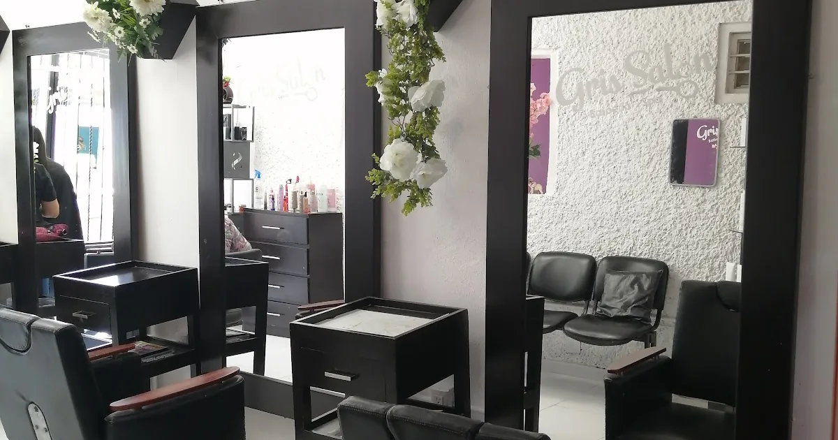 Gris Salón Barberi y Spa