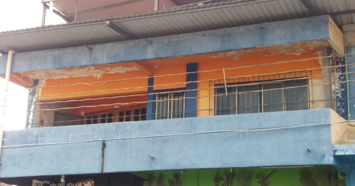 Estetica Carlos
