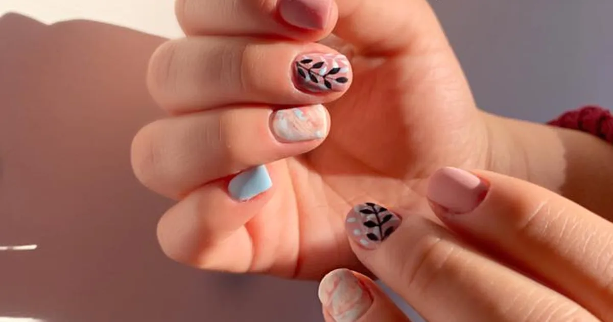 Siempre Bella