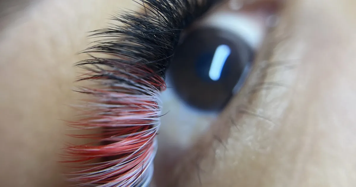 Lashes house Zamora