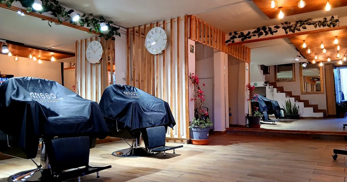 Barberia • Belleza Ansso