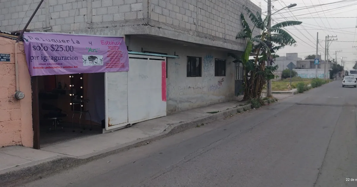 Estetica y Peluqueria «ARI»