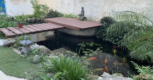 Shànta SPA Centro Estético Integral, negocios en Chetumal, Quintana Roo