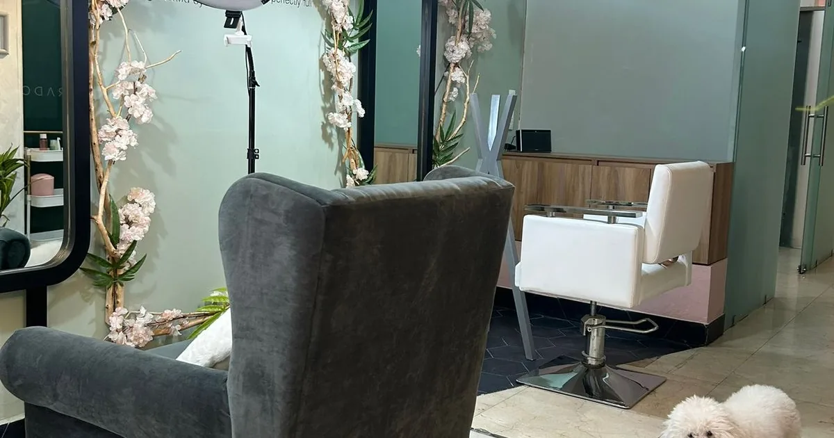 Ilse Alvarado Studio