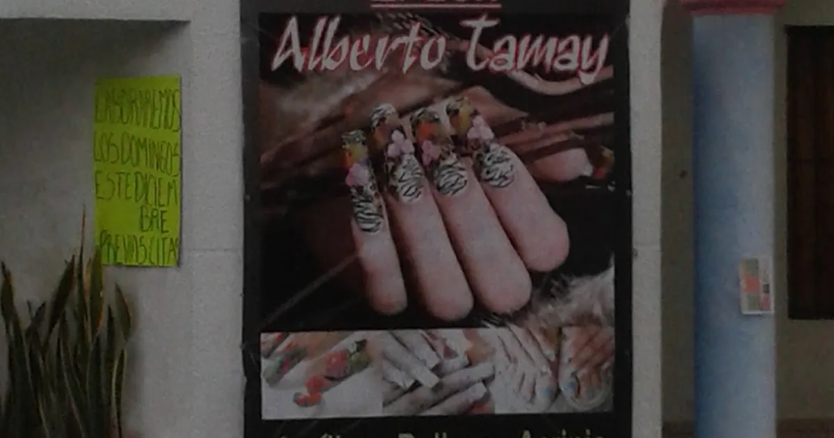 SALÓN Alberto Tamay