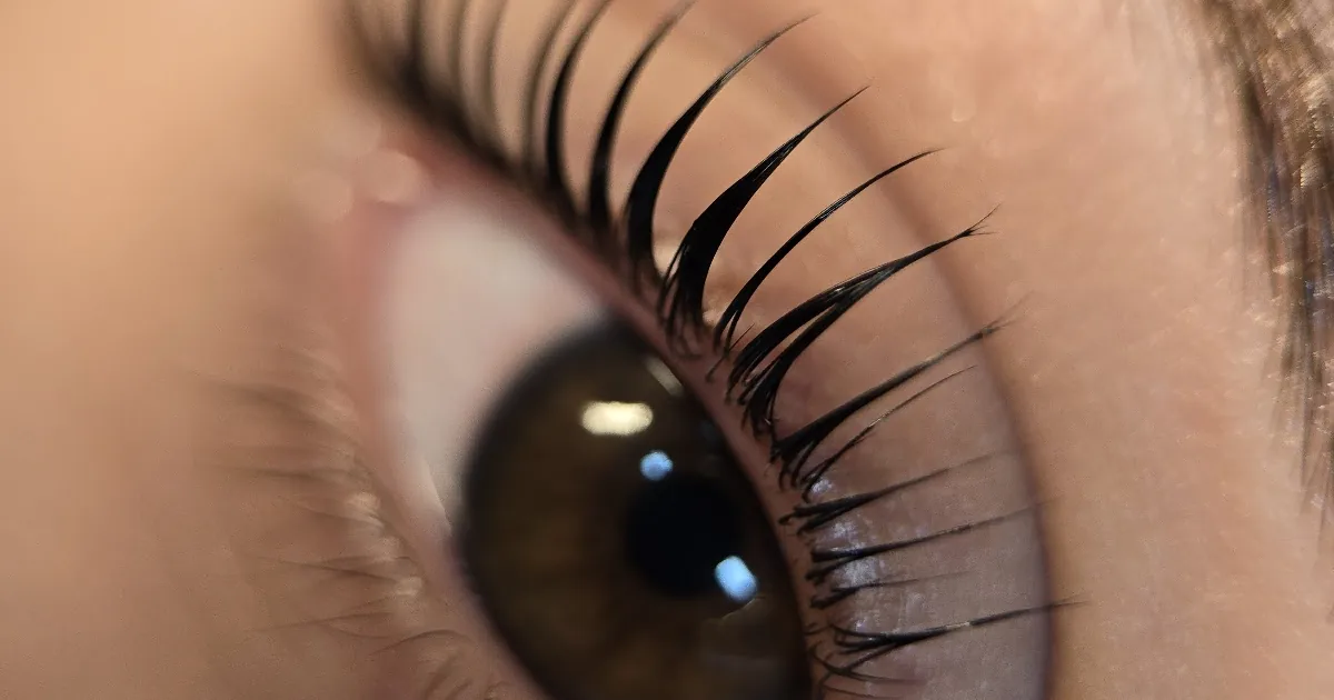 CEJAS DEFINIDAS
